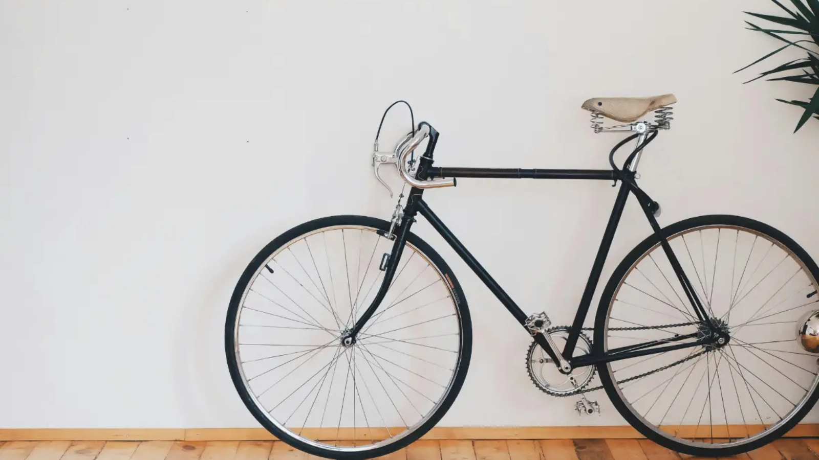 Cómo elegir una bicicleta usada01