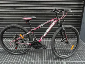 MTB AURORA 500 ASDX 01 portada