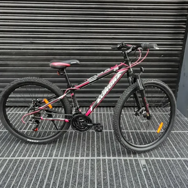 MTB AURORA 500 ASDX 01 portada