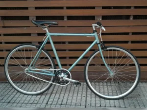 FIXIE 01 portada (1)