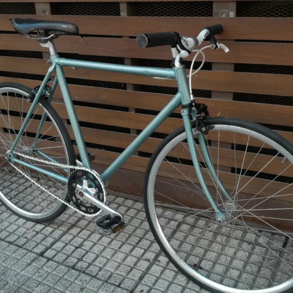 FIXIE 04 (1)
