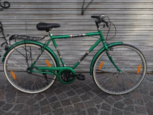 DELI HAWK RADICAL 01 PORTADA BICICLETA USADA