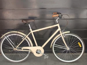 INGLESA NEWTON PASEO 01 PORTADA BICICLETA USADA