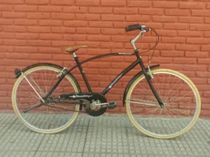 PASEO ESTILO PLAYERA 01 PORTADA BICICLETA USADA