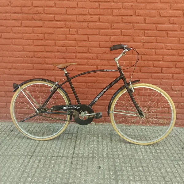 PASEO ESTILO PLAYERA 01 PORTADA BICICLETA USADA