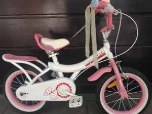 ROYAL RIDER 01 PORTADA BICICLETA USADA
