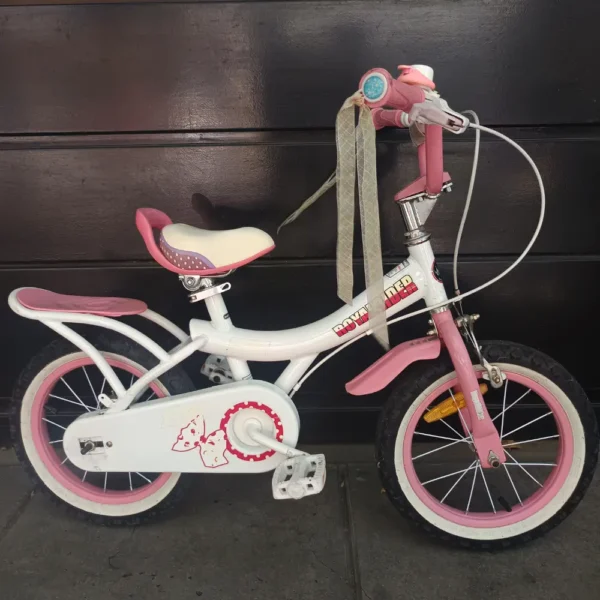 ROYAL RIDER 01 PORTADA BICICLETA USADA