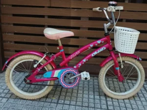 OLMO WINONS NIÑOS 01 PORTADA BICICLETA USADA