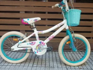 PHYTON COOL BMX NIÑOS 01 PORTADA BICICLETA USADA