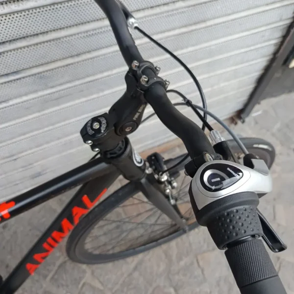 ANIMAL FIXIE 04