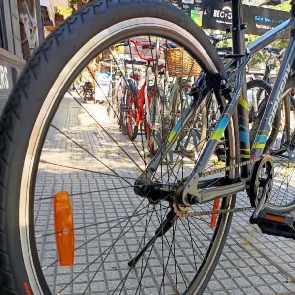 DELI BIKE - FIREFOX PRONTO V URBANA 02 (2)