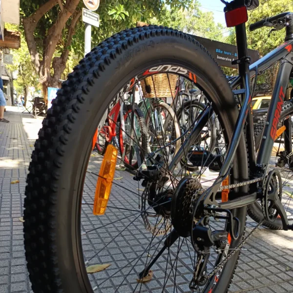 DELI BIKE - FIREFOX SPRINT MTB 03