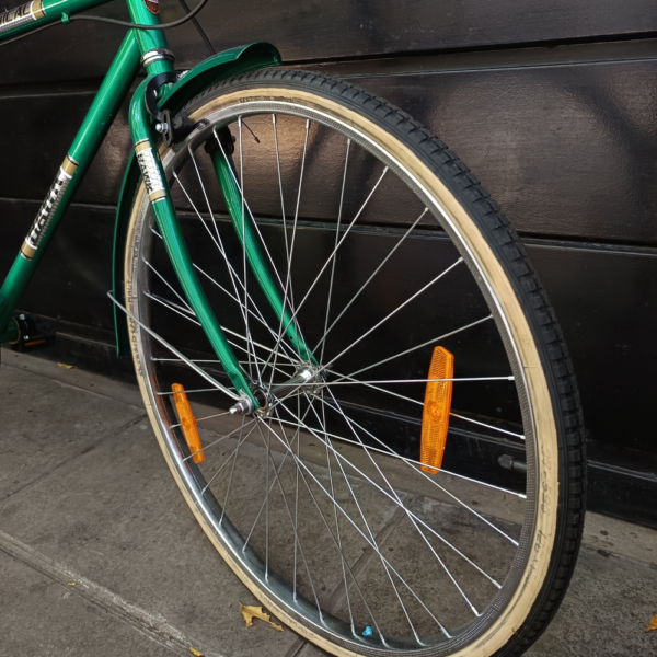 DELI BIKE HAWK RADICAL URBANA 03