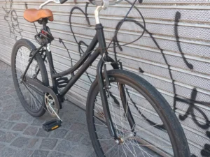 PASEO DAMA NEGRA 01 PORTADA BICICLETA USADA