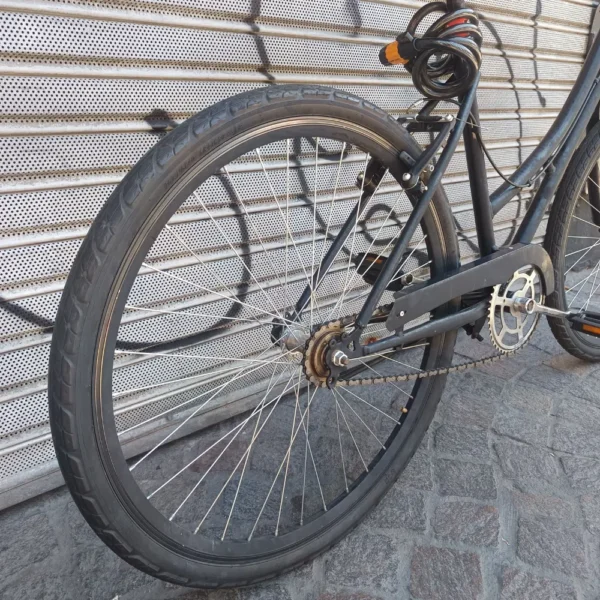 PASEO DAMA NEGRA 04