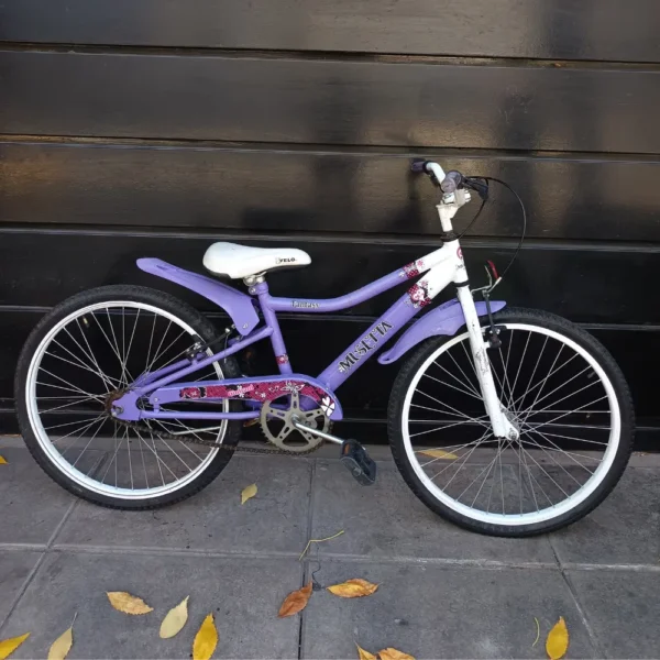 MUSSETA NIÑO 01 PORTADA BICICLETA USADA