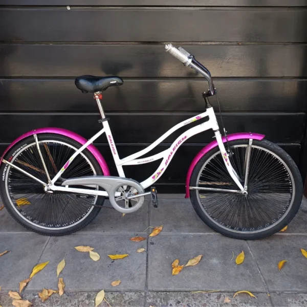 RALEIGH PLAYERA 01 PORTADA BICICLETA USADA
