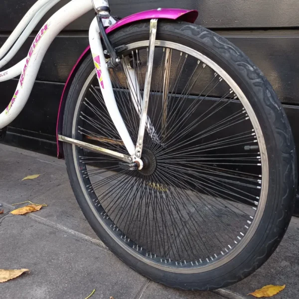 RALEIGH PLAYERA 02