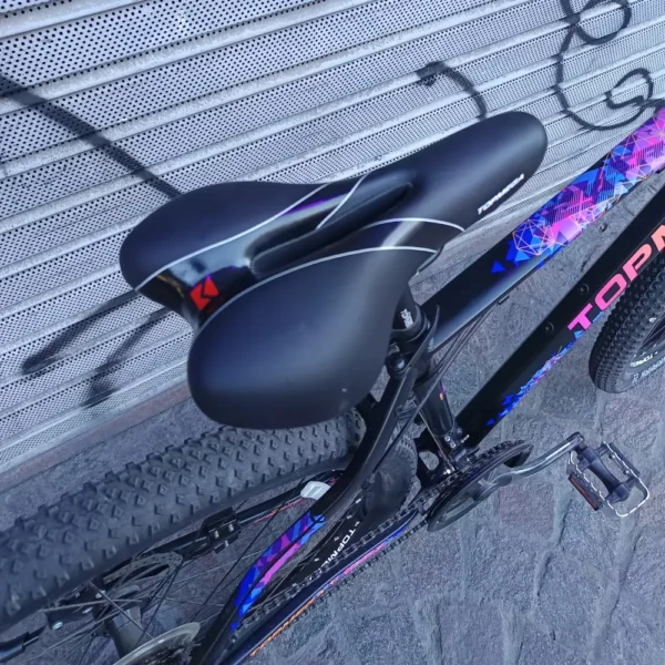 TOP MEGA REGAL MTB 02