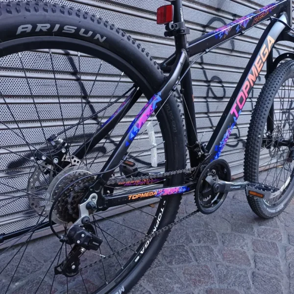 TOP MEGA REGAL MTB 04