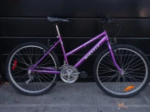 MIRACLE CAPELLA MTB DAMA 01 PORTADA BICICLETA USADA