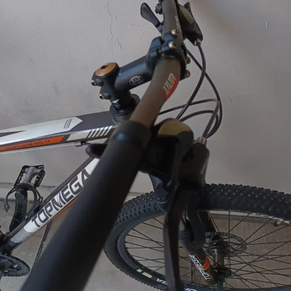 TOPMEGA NEPTUNE 2017 MTB 04