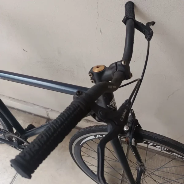 FIREBIRD FIXIE 03
