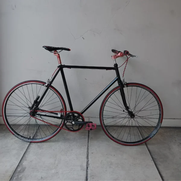 FIXIE PORTADA 01 BICICLETA USADA