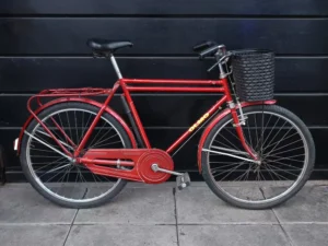 OLMO PASEO 01 PORTADA BICICLETA USADA
