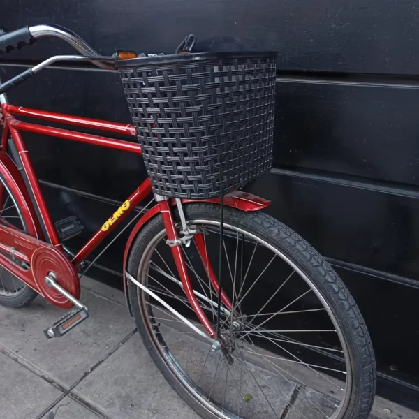OLMO PASEO 02