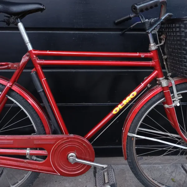 OLMO PASEO 03