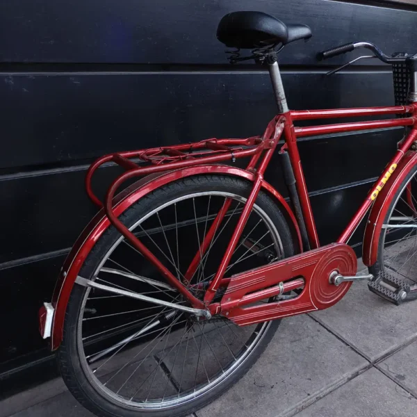 OLMO PASEO 04