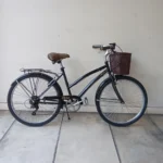 OLMO AMELIE PASEO DAMA NEGRA 01 portada
