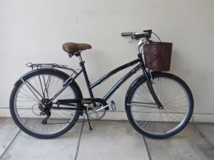 OLMO AMELIE PASEO DAMA NEGRA 01 portada