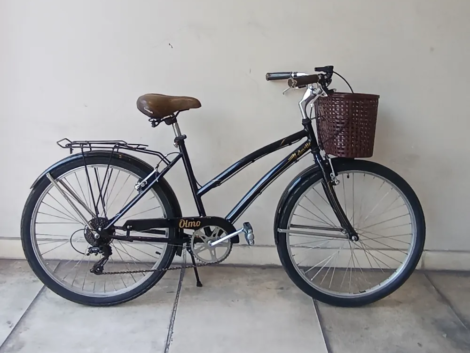 OLMO AMELIE PASEO DAMA NEGRA 01 portada