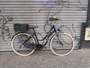 raleigh classic de luxe paseo dama 01 PORTADA