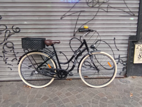 raleigh classic de luxe paseo dama 01 PORTADA