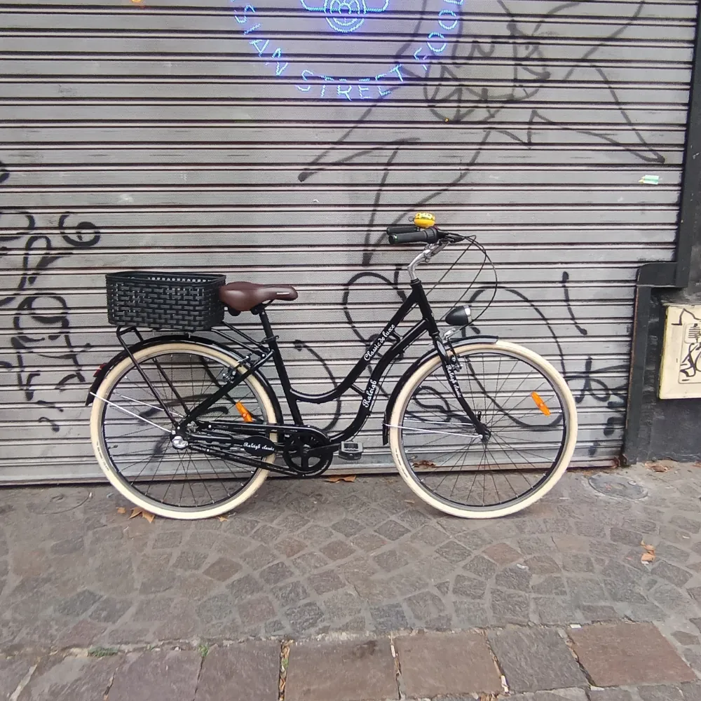 RALEIGH CLASSIC DE LUXE PASEO DAMA