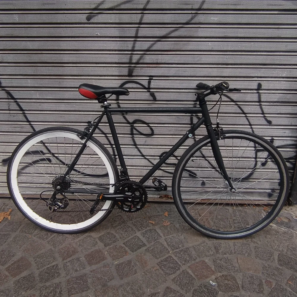 TIPO FIXIE