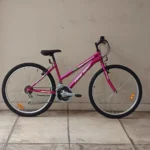 fire bird yggo mtb cuadro dama 01 portada