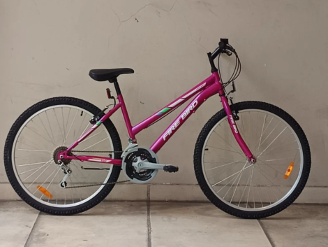 fire bird yggo mtb cuadro dama 01 portada