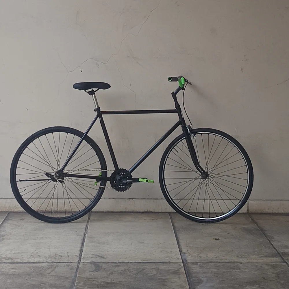 TIPO FIXIE