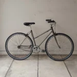 tipo fixie dama 01 portada