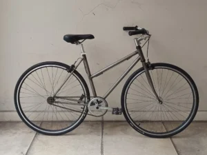 tipo fixie dama 01 portada